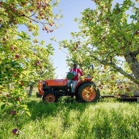 New! Scott Farm x Milk Street Heirloom Apple Baker’s Box