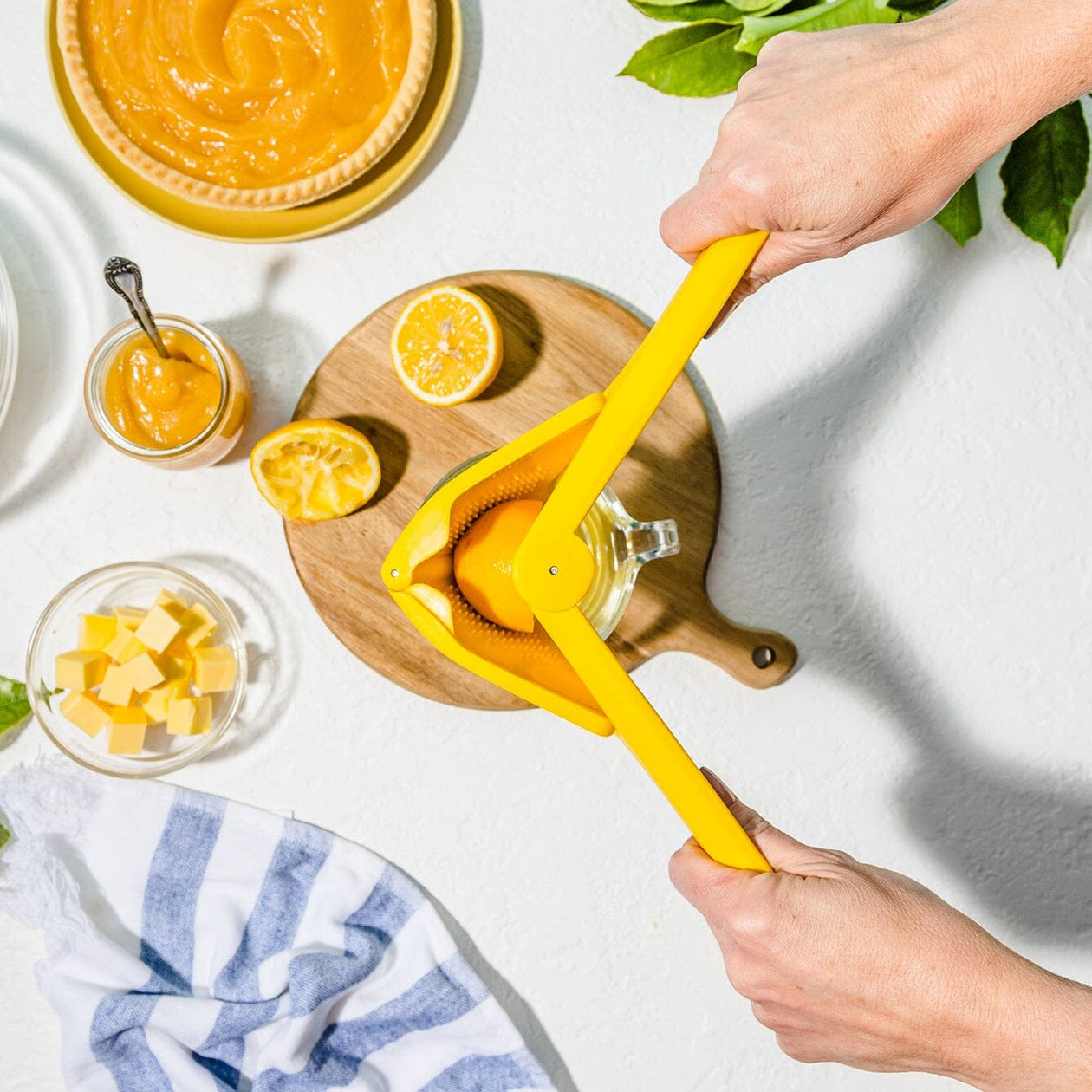 Dreamfarm Fluicer Tools Dreamfarm 