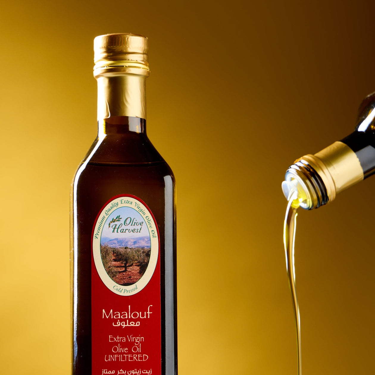 Maalouf Authentic Extra-Virgin Olive Oil Pantry Olive Harvest 