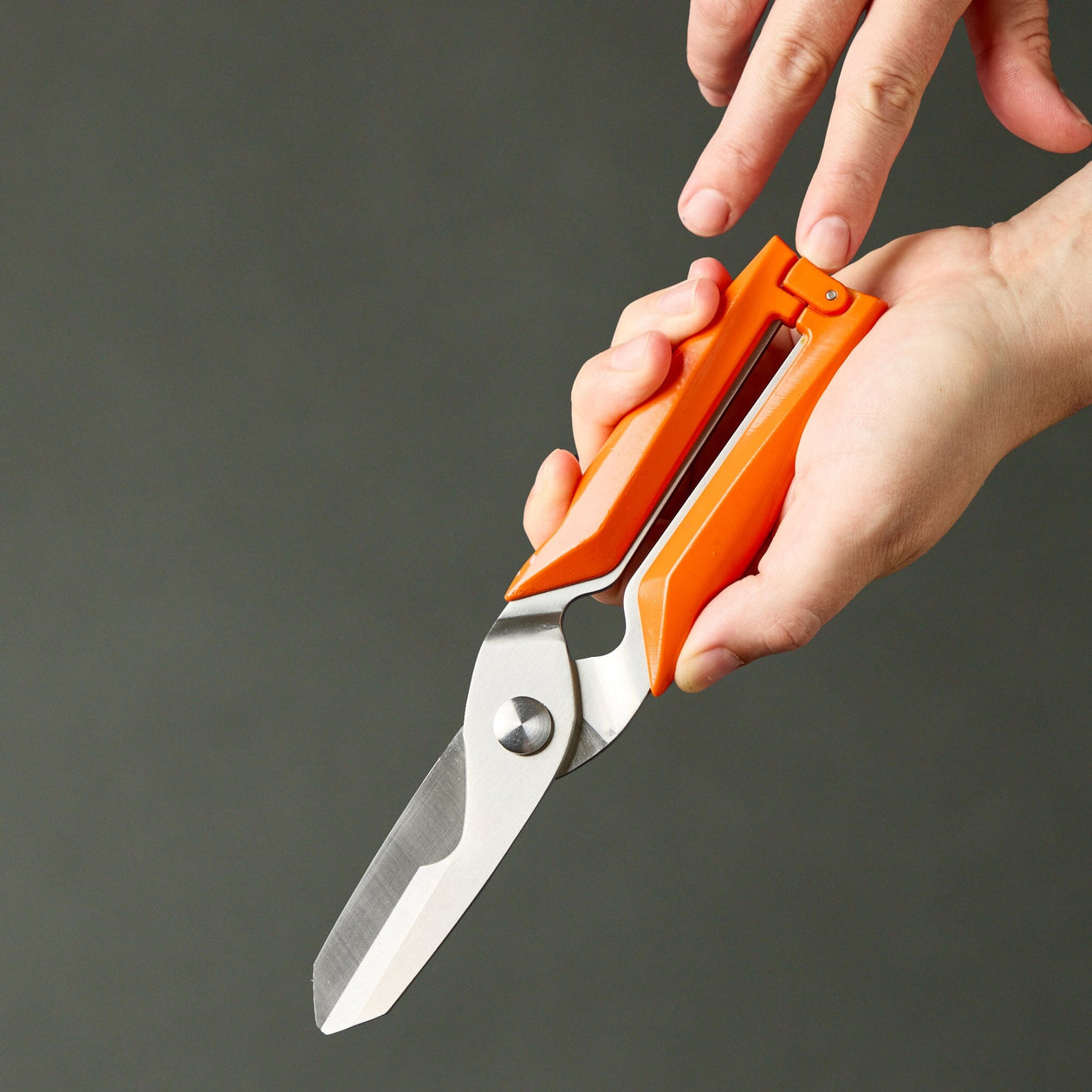 Milk Street Kitchen Shears Kitchen Knives Milk Street 