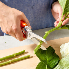 Milk Street Kitchen Shears Kitchen Knives Milk Street 