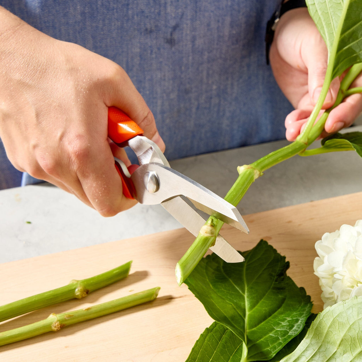 Milk Street Kitchen Shears Kitchen Knives Milk Street 