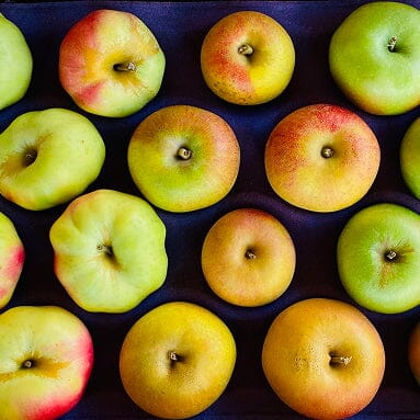 Scott Farm x Milk Street Heirloom Apple Baker’s Box Pantry Scott Farm 