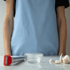 DreamFarm Garject Garlic Press Equipment Dreamfarm 