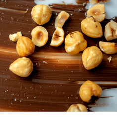 Il Colle Del Gusto Noccioliva Chocolate Hazelnut Spread Pantry Manicaretti 